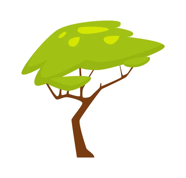 Planta Árvore Blooming Vector Ilustração — Vetor de Stock