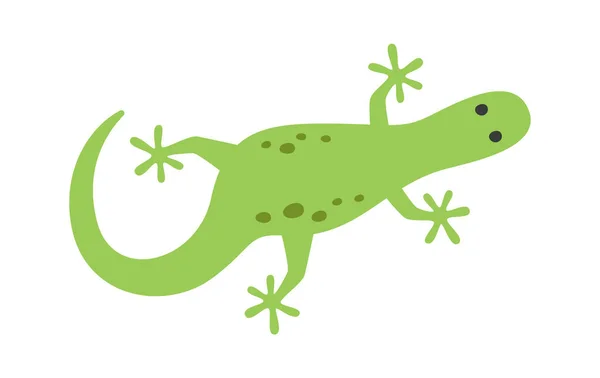 Gecko Ještěrka Zvířecí Vektor Ilustrace — Stockový vektor