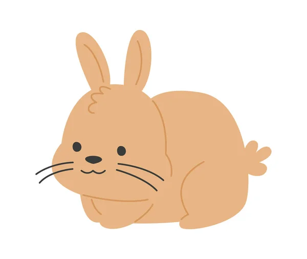 Sitting Rabbit Animal Vector Illustration — Stock Vector