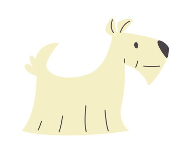 Schnauzer Köpek Hayvan Vektörü İllüstrasyonu