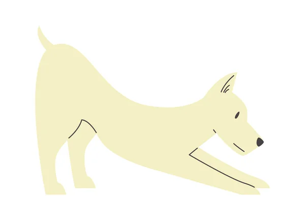 Stretching Dog Pet Vector Illustratie — Stockvector