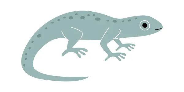 Illustration Vectorielle Des Animaux Lézards Reptiles — Image vectorielle