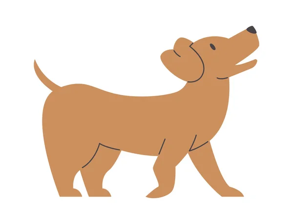 Μένοντας Σκύλος Pet Διανυσματική Απεικόνιση — Διανυσματικό Αρχείο