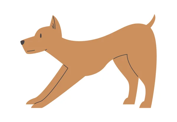 Estancia Perro Mascota Vector Ilustración — Vector de stock