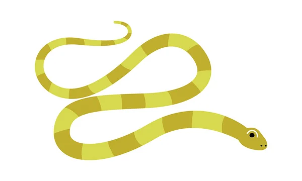 Serpiente Reptil Animal Vector Ilustración — Vector de stock