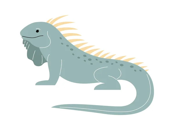Illustration Vectorielle Des Reptiles Iguanes — Image vectorielle