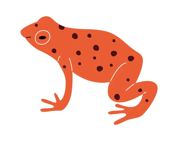 stock vector Exotic Frog Amphibian Vector Illustration