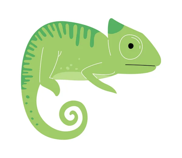 Illustration Vectorielle Des Reptiles Caméléons — Image vectorielle