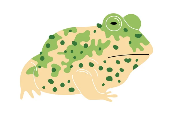 Egzotik Kurbağa Amfibi Vektör Llüstrasyonu — Stok Vektör