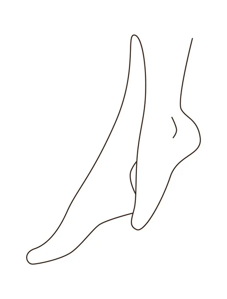 Vektorová Ilustrace Ženských Nohou — Stockový vektor