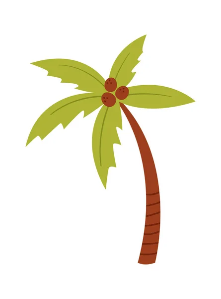 Palm Coconut Träd Vektor Illustration — Stock vektor