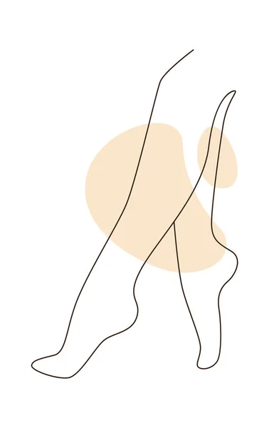 女性腿向量图解 — 图库矢量图片