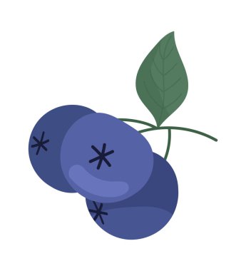 Yabanmersini Dalı Vektör İllüstrasyonu