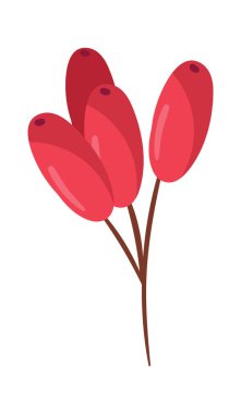 Böğürtlen Dalı Vektör İllüstrasyonu