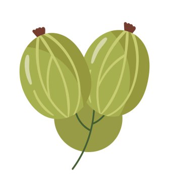 Bektaşi üzümü Şube Vektörü İllüstrasyonu