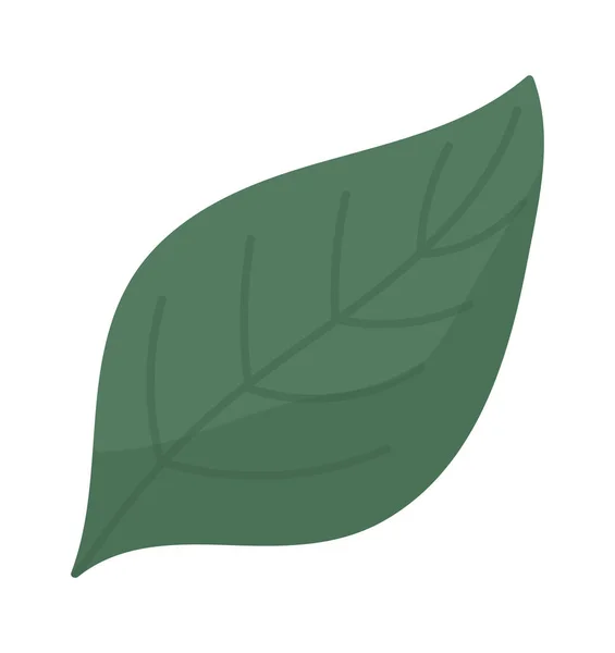 Blueberry Leaf Icon Vector Illustration — Stockvektor
