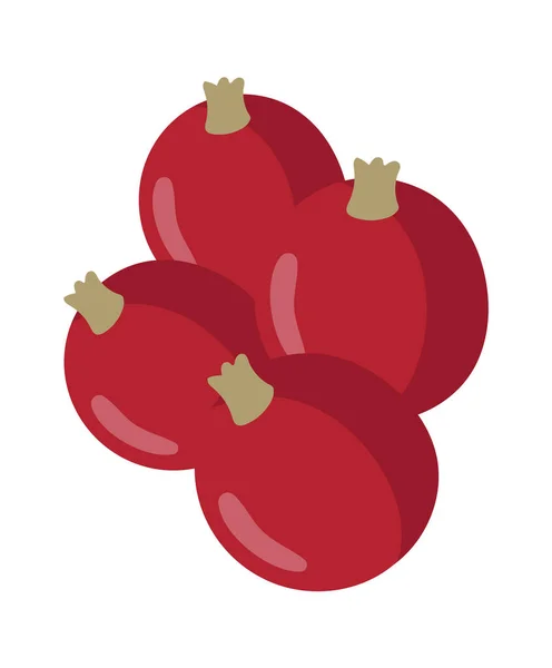 Hawthorn Berries Icono Vector Ilustración — Archivo Imágenes Vectoriales