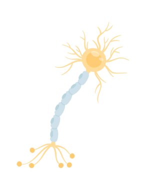 Çevresel Nöropati Sinir Hasar Vektörü Çizimi