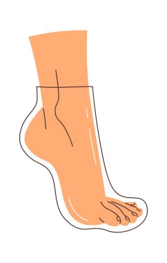 Foot in Spa Booties Vektör İllüstrasyonu