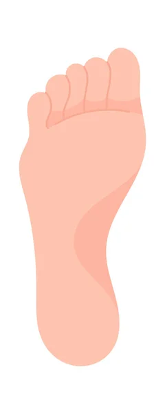 Human Healthy Foot Vector Illustration — Stock Vector