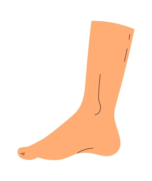 Hand Drawn Human Foot Vector Illustration — Stock Vector