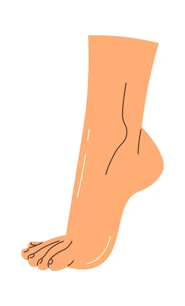 Handritad Human Foot Vector Illustration — Stock vektor