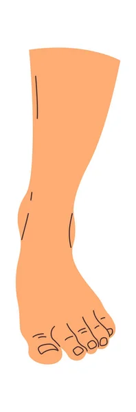 Мбаппе Нарисовал Вектор Человеческих Ног — стоковый вектор