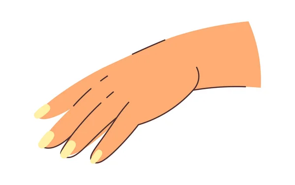 Hand Drawn Woman Hand Vector Illustration — Stock Vector