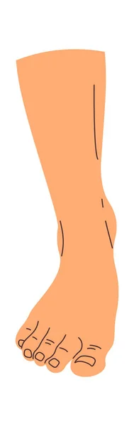 Handritad Human Foot Vector Illustration — Stock vektor