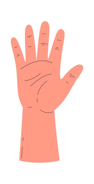 Ανθρώπινη Παλάμη Χέρι Διανυσματική Απεικόνιση — Διανυσματικό Αρχείο
