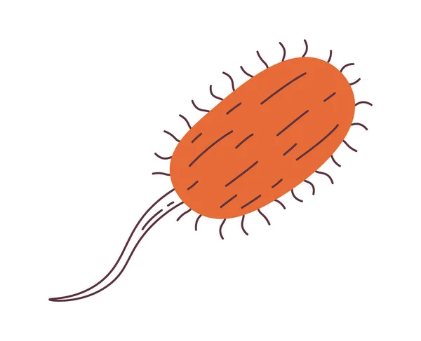 Bacterias Con Cola Vector Ilustración — Archivo Imágenes Vectoriales