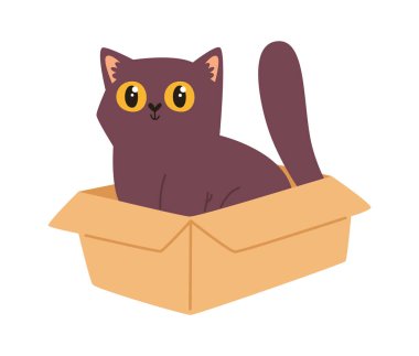 Kedi Kutu Vektörü Resimlerinde Oturuyor