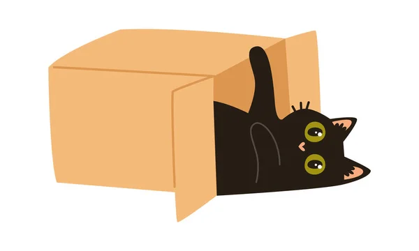 Gato Jugando Caja Vector Ilustración — Vector de stock