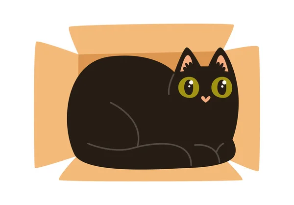 Кіт Лежить Коробці Векторні Ілюстрації — стоковий вектор