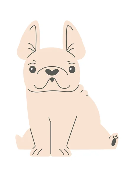 Sentado Francês Bulldog Vector Ilustração —  Vetores de Stock