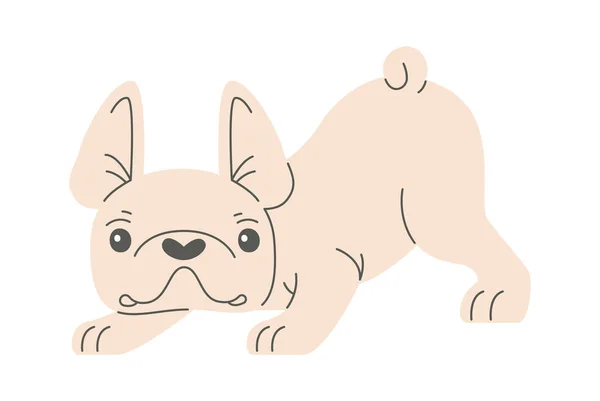 Permanecer Francés Bulldog Vector Ilustración — Archivo Imágenes Vectoriales