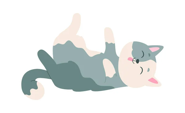 Kot Zabawny Pose Wektor Ilustracji — Wektor stockowy