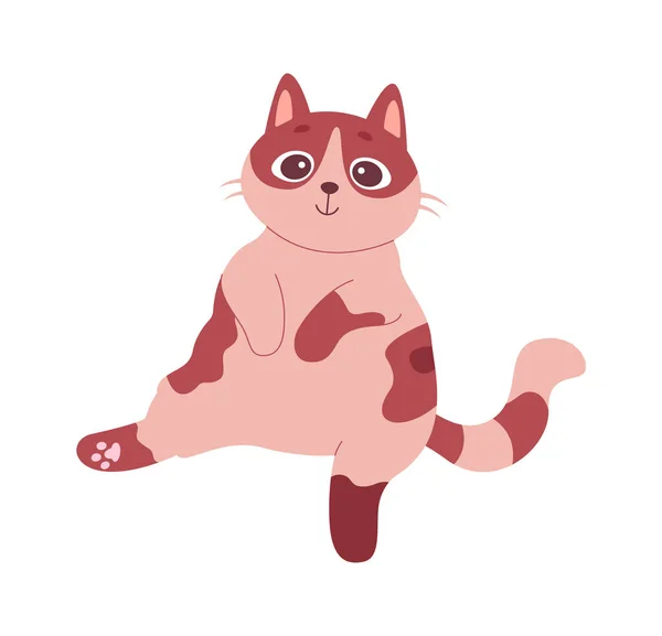 Sentado Gato Mascota Vector Ilustración — Archivo Imágenes Vectoriales