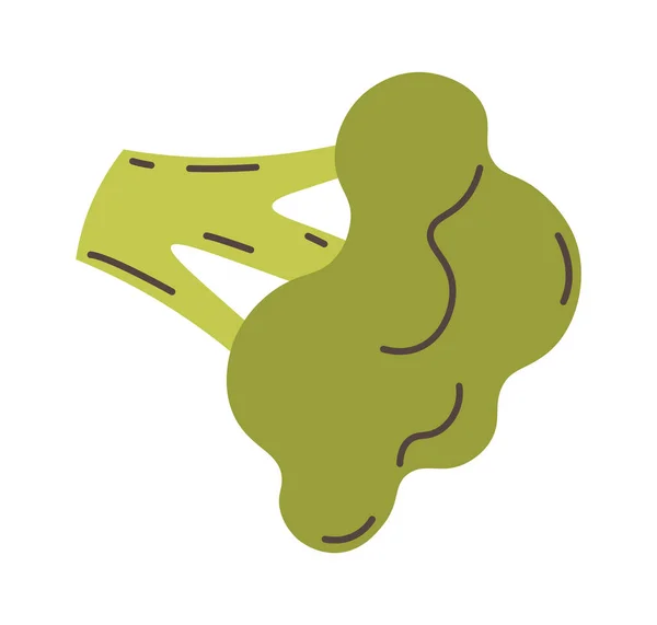 Brokoli Yeşil Bitki Vektörü Llüstrasyonu — Stok Vektör