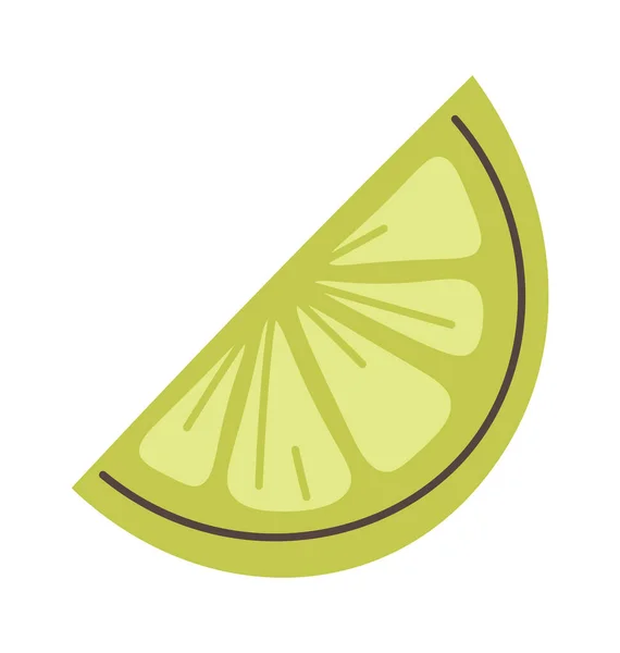 Ilustrasi Lime Fruit Slice Vector - Stok Vektor