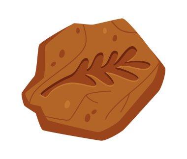 Fosil Vektör İllüstrasyonunda Yaprak Silueti