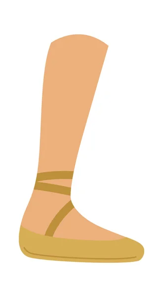 Leg Pointe Shoes Vector Illustration — Stock Vector