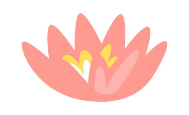 Lily Çiçeği Bud Vektör İllüstrasyonu