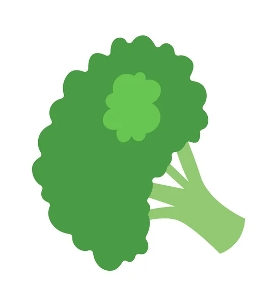 Illustrazione Vettoriale Dell Icona Vegetale Dei Broccoli — Vettoriale Stock