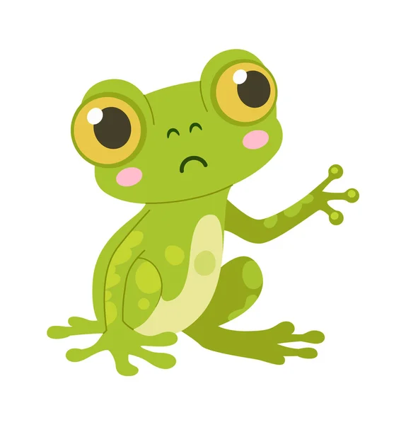 Sitzender Frosch Amphibienvektor Illustration — Stockvektor
