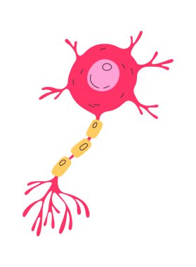 Sinir İnsan Hücre Vektörü İllüstrasyonu