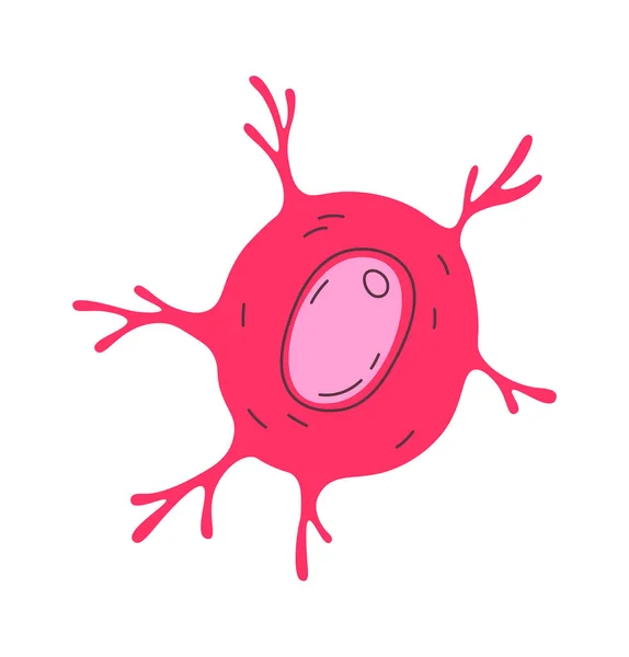 Illustration Vectorielle Des Cellules Humaines Osseuses — Image vectorielle