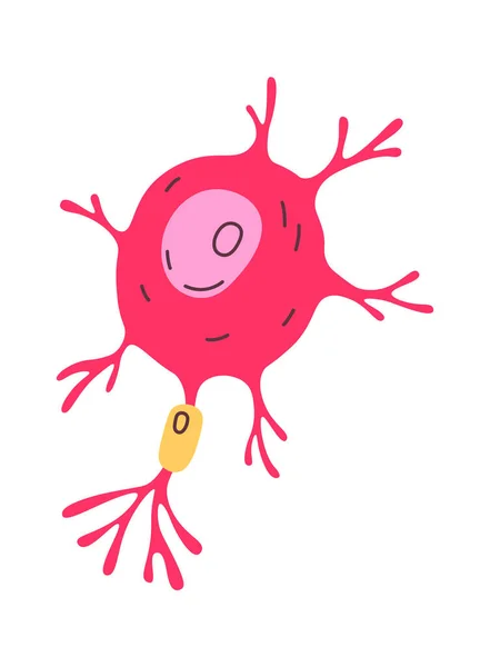 Εικονογράφηση Διανύσματος Ανθρώπινων Κυττάρων Νεύρων — Διανυσματικό Αρχείο