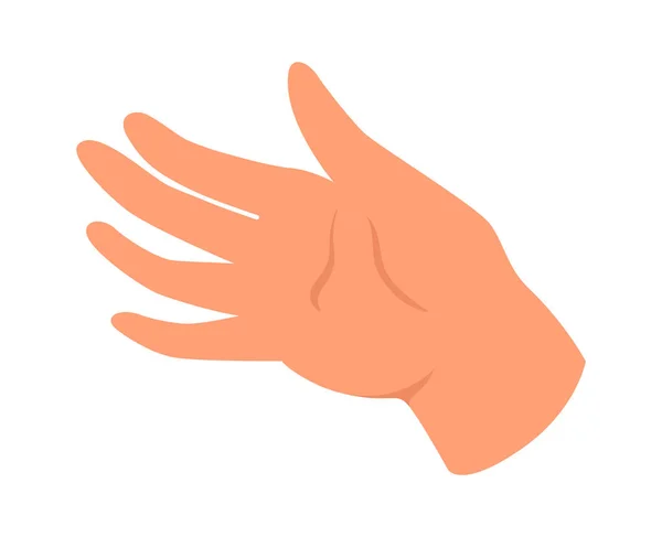 Emberi Kéz Tenyér Vektor Illusztráció — Stock Vector