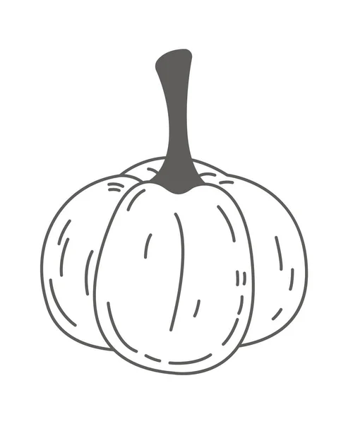 Illustration Vectorielle Linéaire Légumes Citrouille — Image vectorielle
